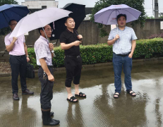 国投集团多措并举加强汛期防汛工作